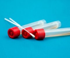 coronavirus marche