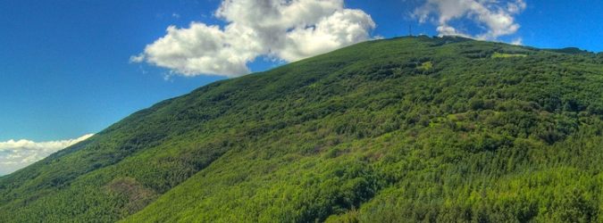Festival dell'Appennino