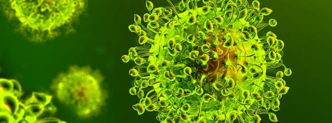 Coronavirus Marche