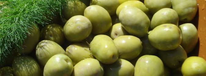 Oliva tenera ascolana