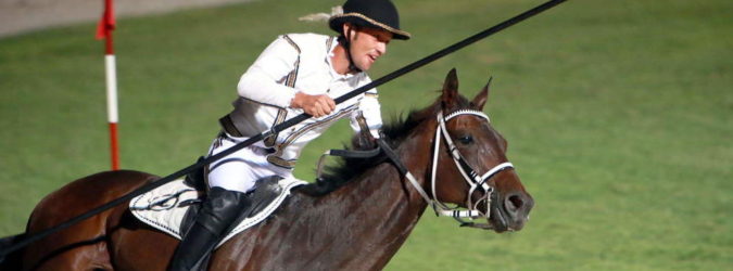 Quintana Ascoli