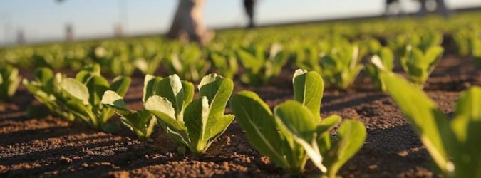 Cia Agricoltori ascoli