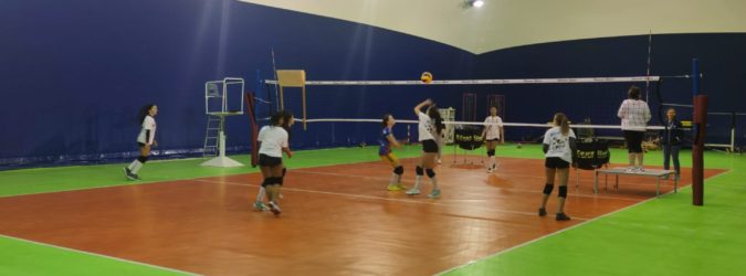 Volley