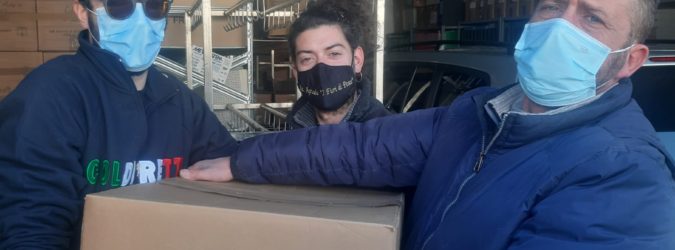 coldiretti marche