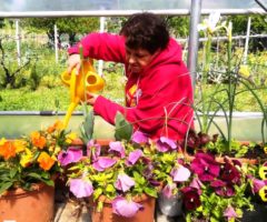 anffas ascoli e fondazione carisap