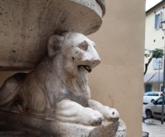 ascoli nostra