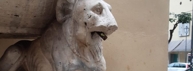 ascoli nostra