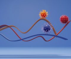 coronavirus marche