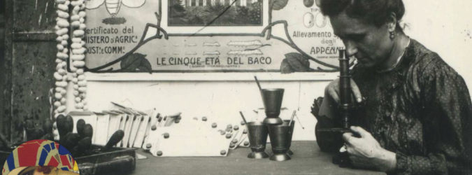 ascoli