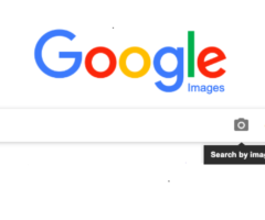 Google Reverse Image Search
