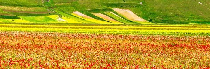Castelluccio di Norcia
