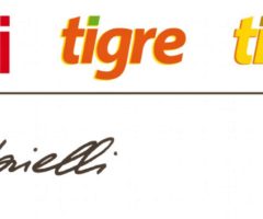 Best Managed Companies gabrielli