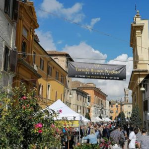 tartufo fiera pergola
