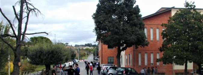 macerata agraria