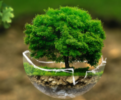 cna transizione ecologica