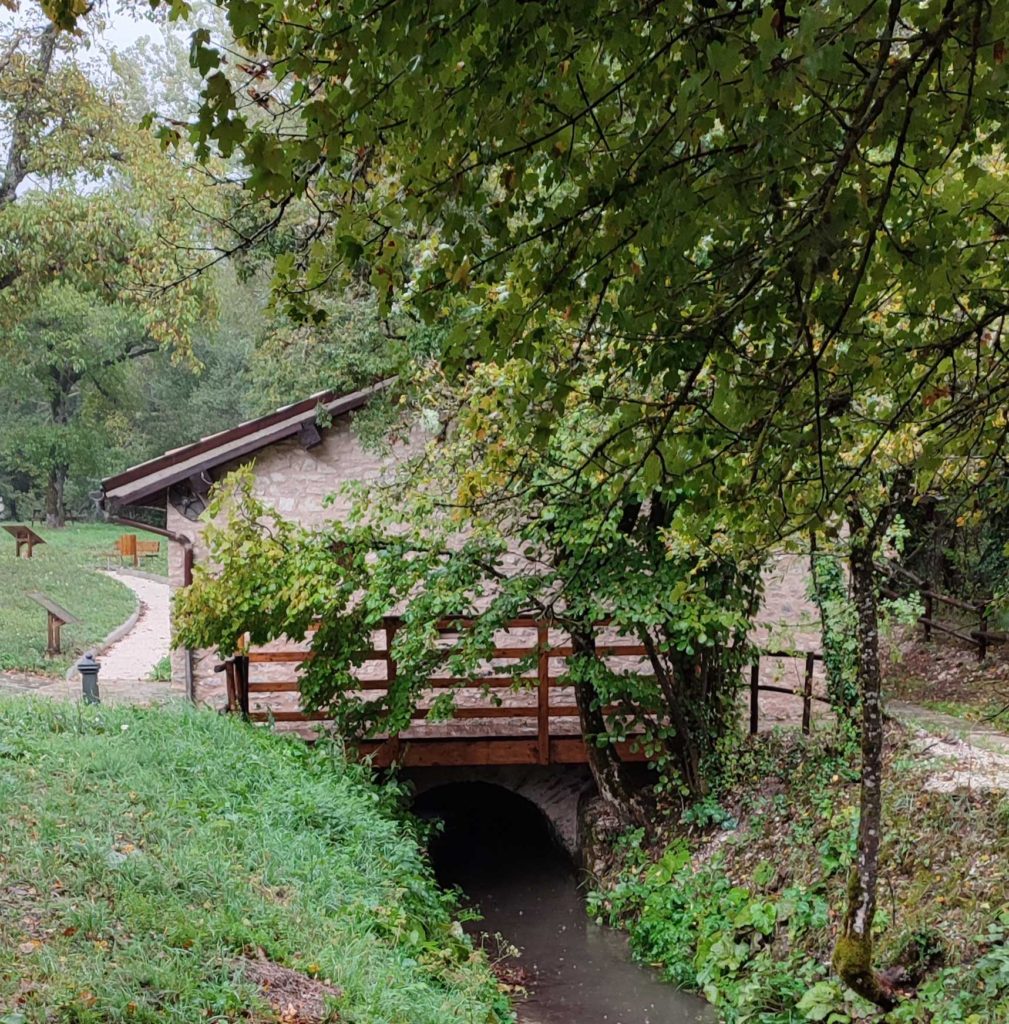 mulino trota