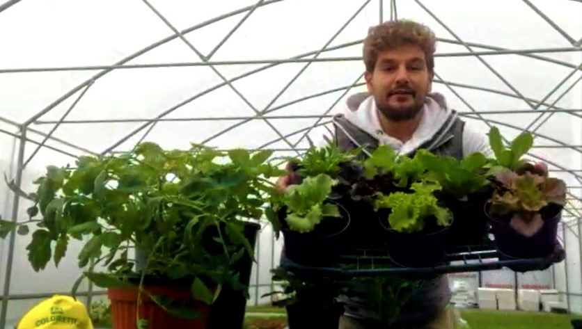 grottammare florovivaismo