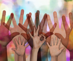 volontariato terzo settore formazione