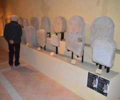 museo archeologico san severino marche