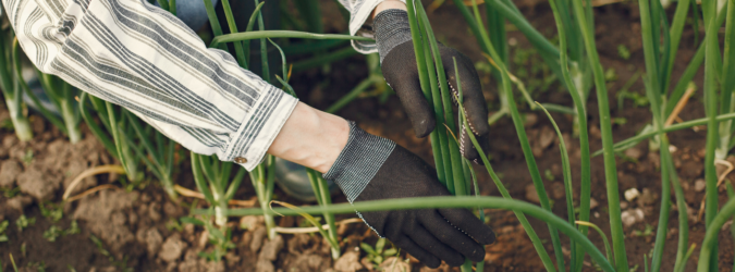 agricoltura consorzi agrari