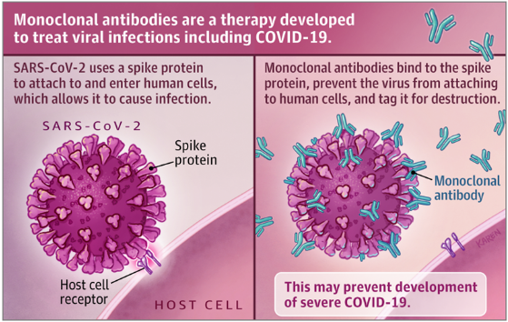 anticorpi da JAMA Patient page Monoclonal Antibodies for COVID-19