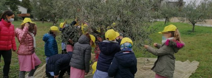coldiretti olio