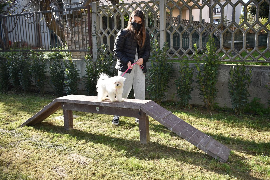 monteprandone parco bau
