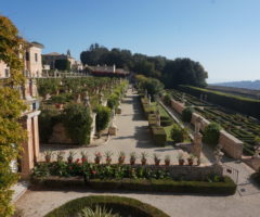 villa buonaccorsi