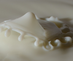 latte