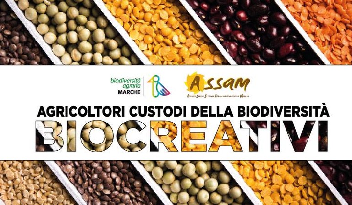 tipicità 2022