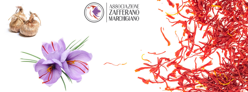 confcommercio zafferano