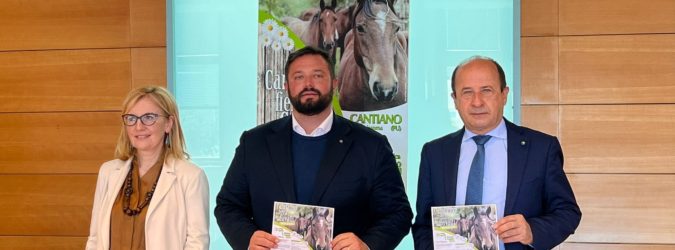 cavallo catria
