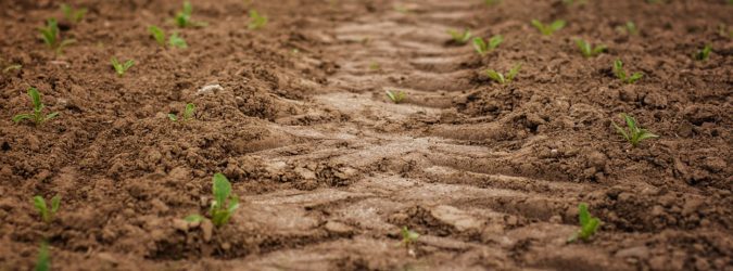 agricoltura teramo