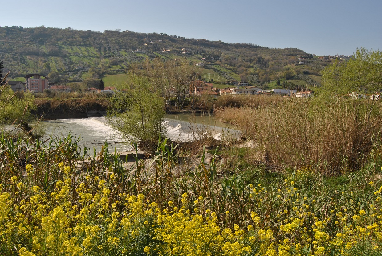 fiume Tronto passeggiata legambiente