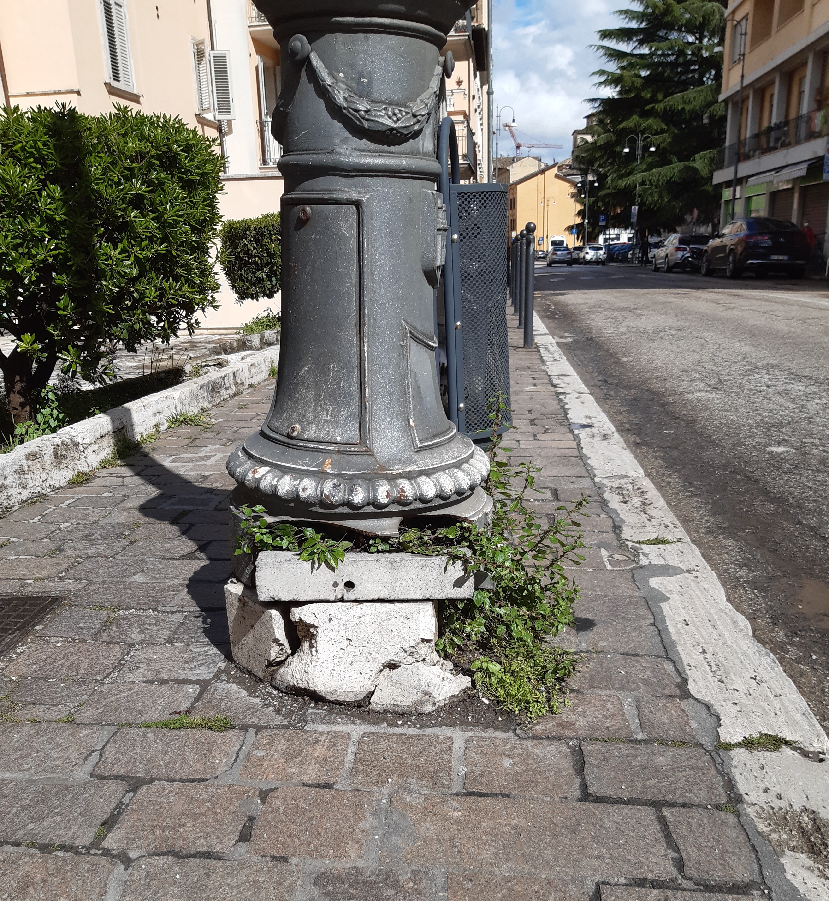 ascoli