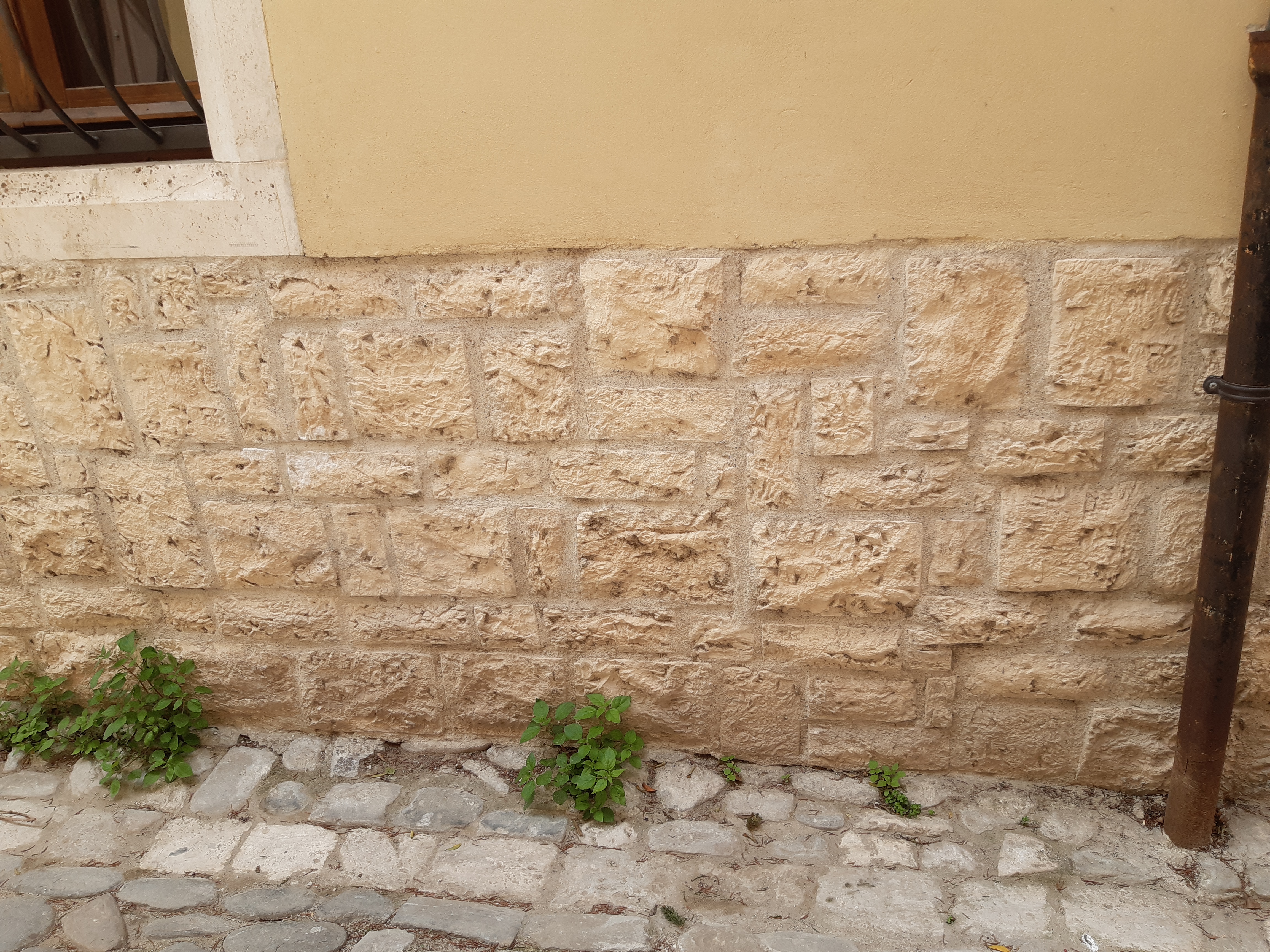 ascoli