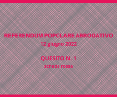 referendum