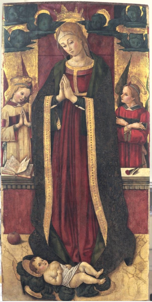 vittore crivelli massignano