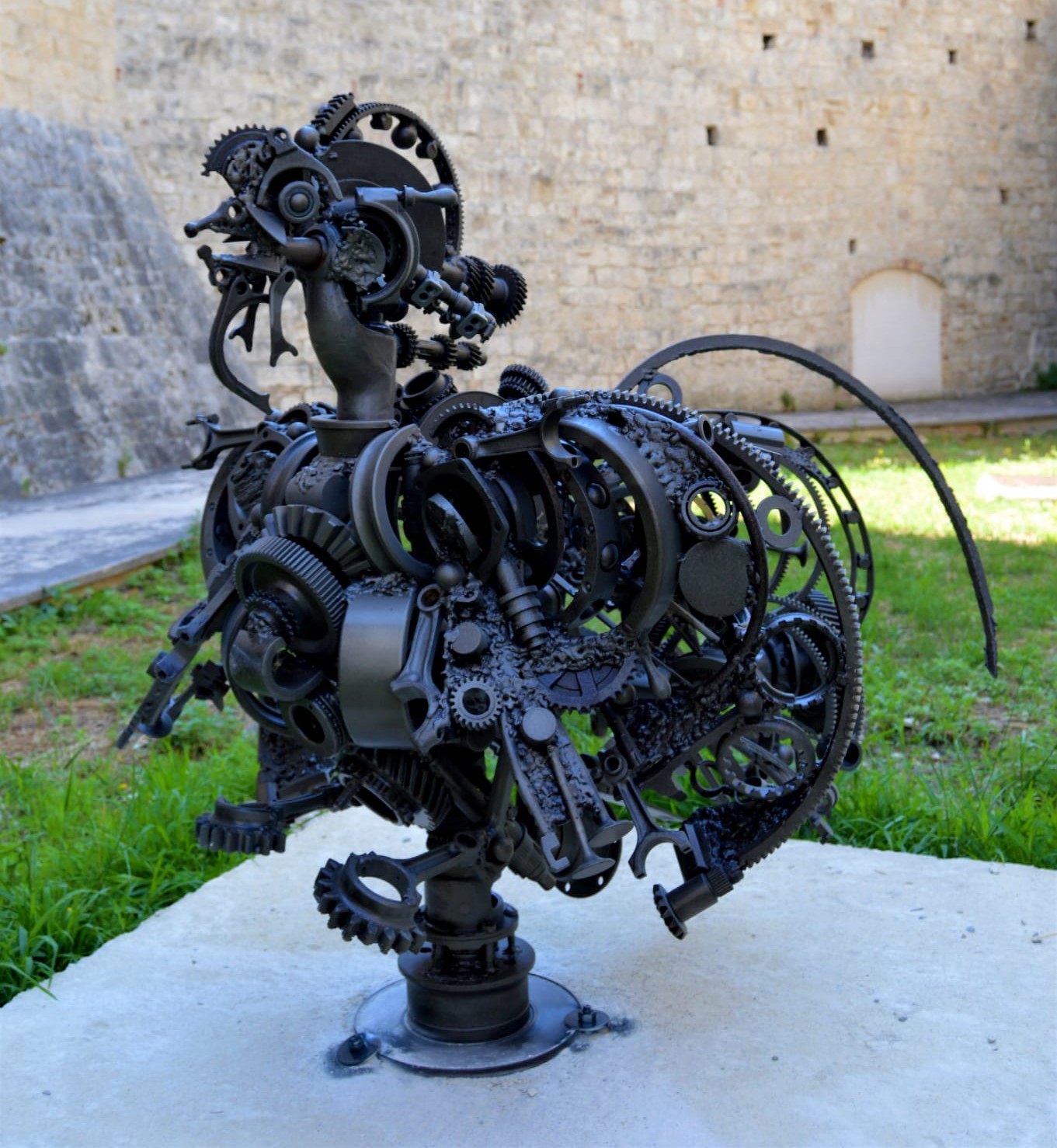"ascoli