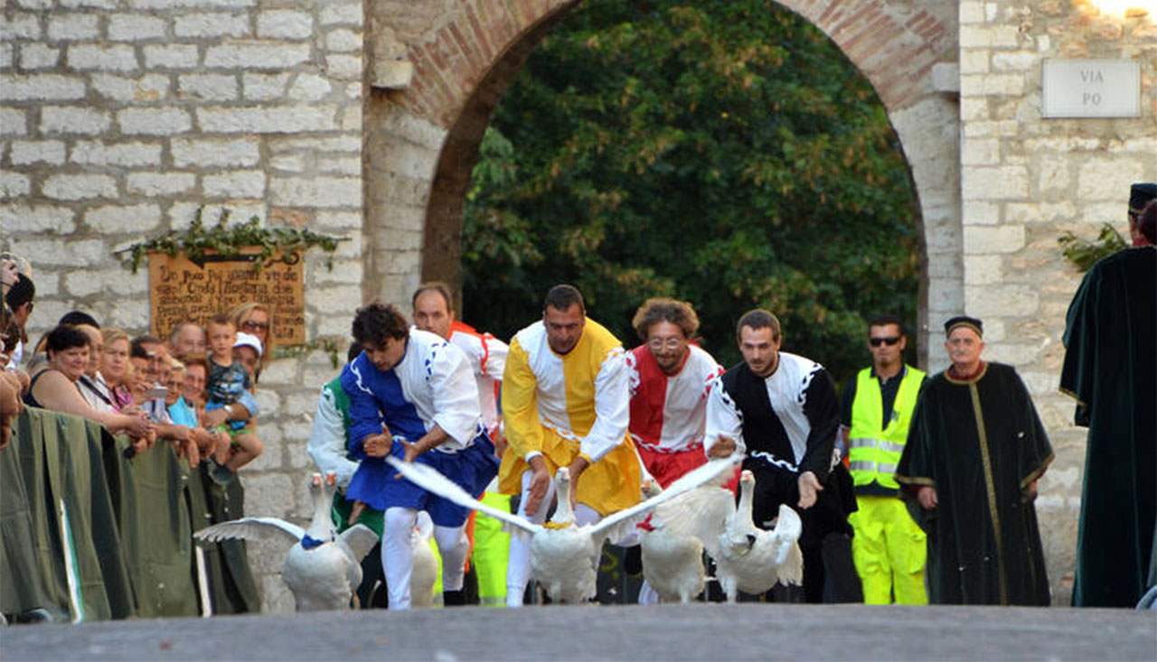 palio