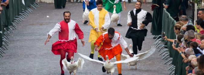 palio