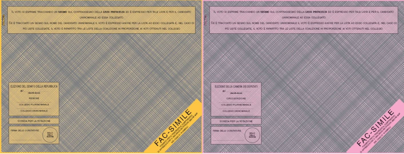elezioni 