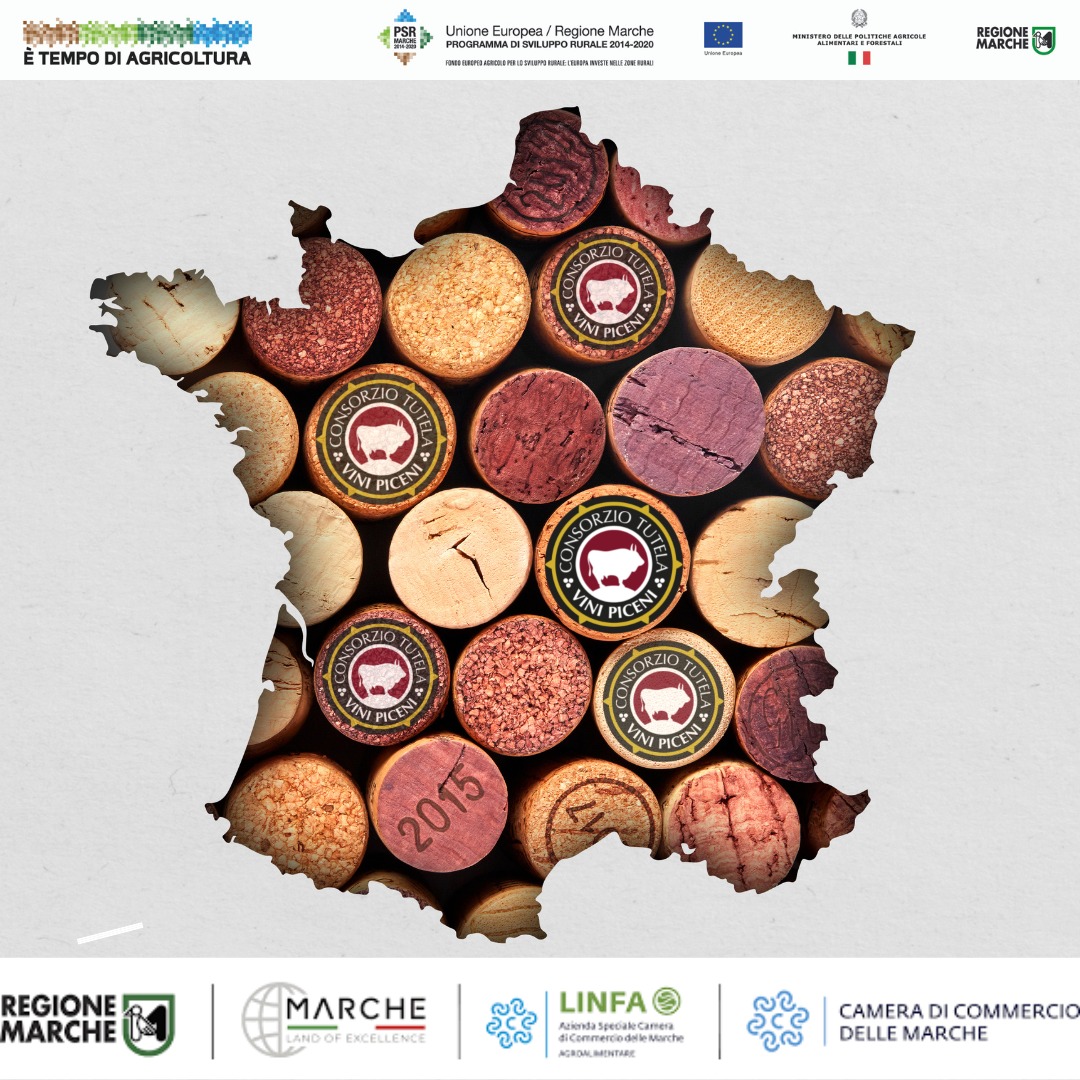 Consorzio Vini Piceni