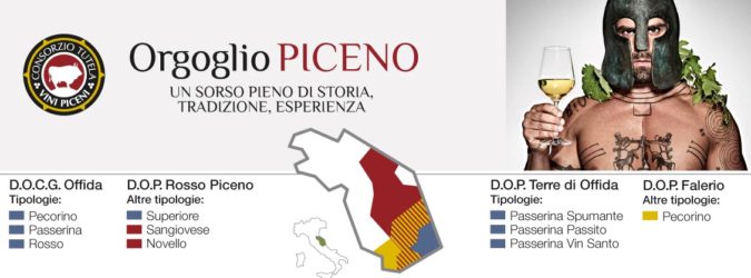 consorzio vini picenii