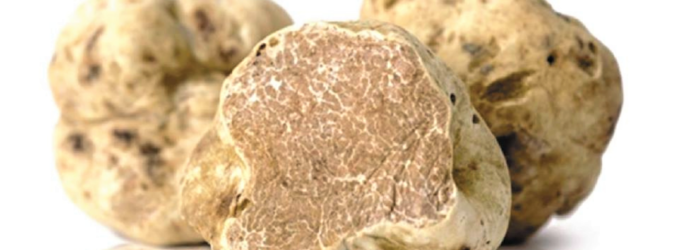 diamanti