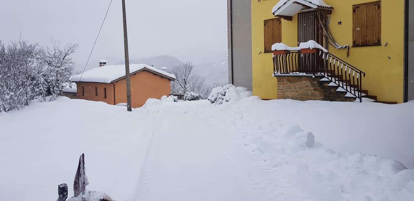 neve