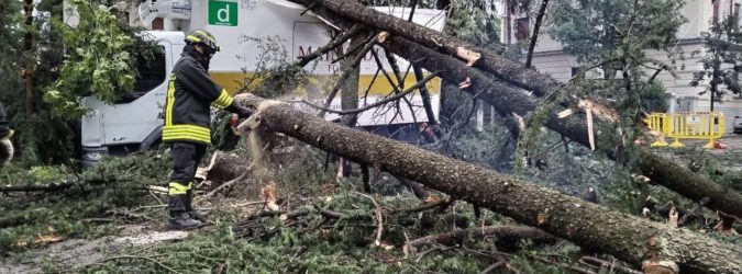 Cambiamenti climatici