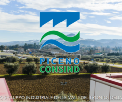 piceno consind
