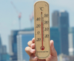 Estate di San Martino