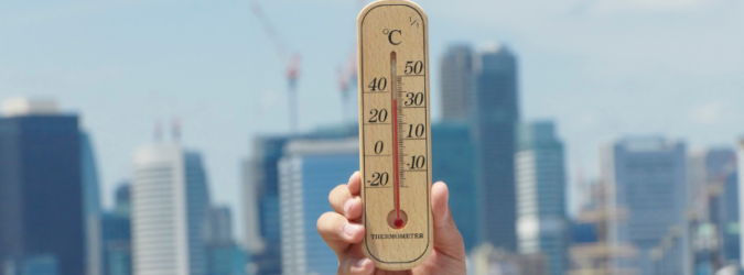 Estate di San Martino